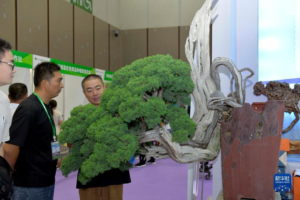 威航娱乐网址