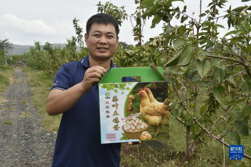 免费送金币斗牛牛